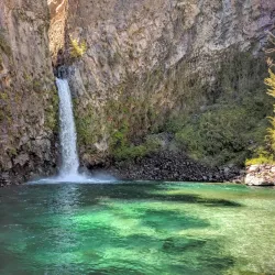 Reserva Nacional Radal Siete Tazas - Curico