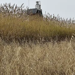 Faro Punta Topocalma - El Quisco