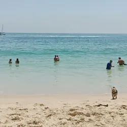 Mercado Municipal de El Quisco - El Quisco