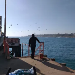 Mercado Municipal de El Quisco - El Quisco