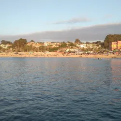 Mercado Municipal de El Quisco - El Quisco