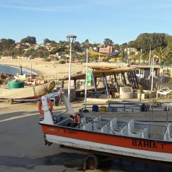 Mercado Municipal de El Quisco - El Quisco