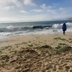 Mercado Municipal de El Quisco - El Quisco