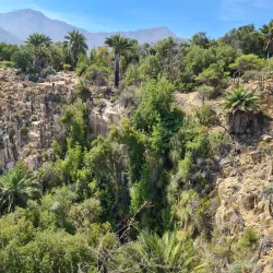 Parque Nacional La Campana - El Quisco