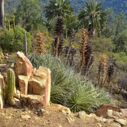 Parque Nacional La Campana - El Quisco