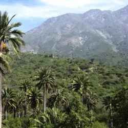 Parque Nacional La Campana - El Quisco