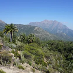 Parque Nacional La Campana - El Quisco