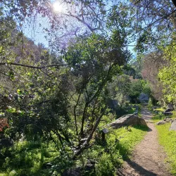 Parque Nacional La Campana - El Quisco