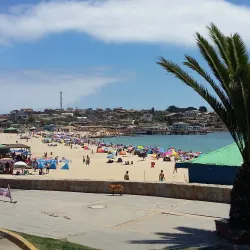 Playa El Quisco - El Quisco