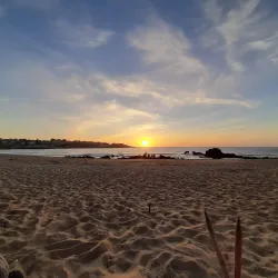 Playa El Quisco - El Quisco