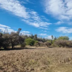 Reserva Nacional Lago Peñuelas - El Quisco