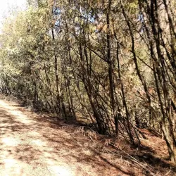 Reserva Nacional Lago Peñuelas - El Quisco
