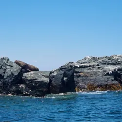 Caleta Chañaral de Aceituno - Huasco