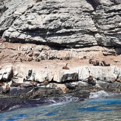 Caleta Chañaral de Aceituno - Huasco