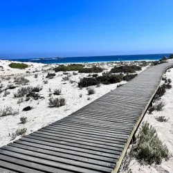 Llanos de Challe National Park - Huasco