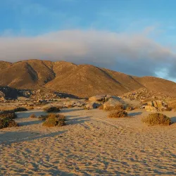 Llanos de Challe National Park - Huasco