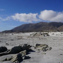 Llanos de Challe National Park - Huasco