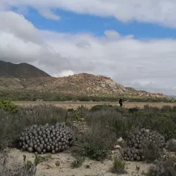 Llanos de Challe National Park - Huasco