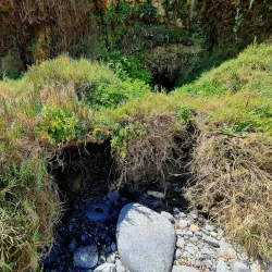 Playa Chorrillos - Huasco