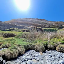 Playa Chorrillos - Huasco