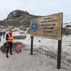 Reserva Nacional Pingüino de Humboldt - Huasco