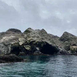 Reserva Nacional Pingüino de Humboldt - Huasco