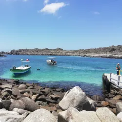 Reserva Nacional Pingüino de Humboldt - Huasco
