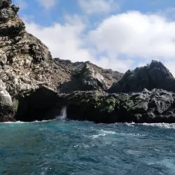 Reserva Nacional Pingüino de Humboldt - Huasco