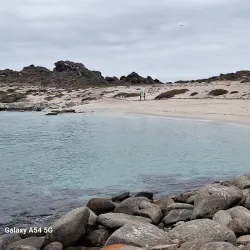 Reserva Nacional Pingüino de Humboldt - Huasco