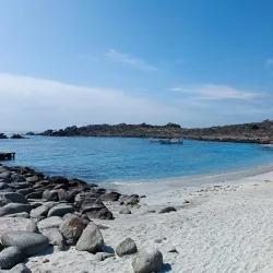 Reserva Nacional Pingüino de Humboldt - Huasco