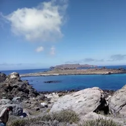 Reserva Nacional Pingüino de Humboldt - Huasco