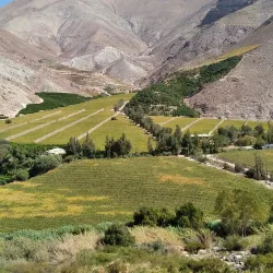 Elqui Valley - La Serena