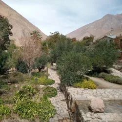 Elqui Valley - La Serena