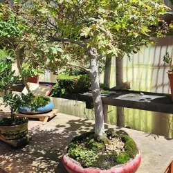 Jardín del Corazón - La Serena