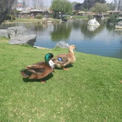 Jardín del Corazón - La Serena