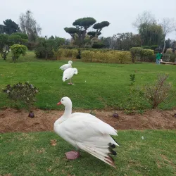 Jardín del Corazón - La Serena