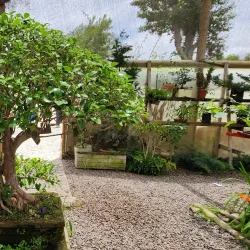 Jardín del Corazón - La Serena