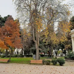 Catedral de Linares - Linares