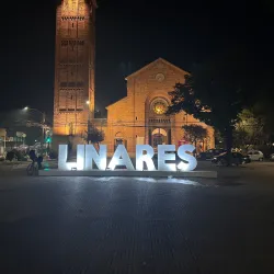 Catedral de Linares - Linares