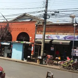 Mercado Municipal de Linares - Linares