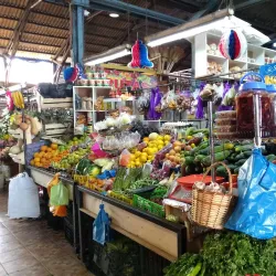 Mercado Municipal de Linares - Linares