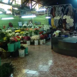 Mercado Municipal de Linares - Linares