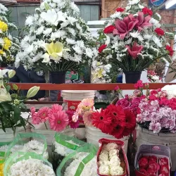 Mercado Municipal de Linares - Linares