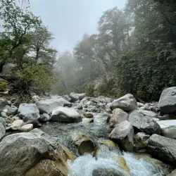 Parque Natural Altos de Lircay - Linares