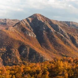 Parque Natural Altos de Lircay - Linares