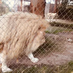 Parque Safari - Linares