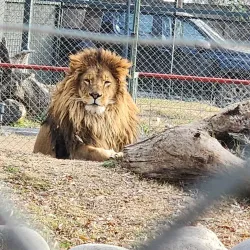 Parque Safari - Linares