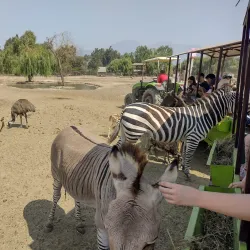 Parque Safari - Linares