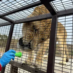 Parque Safari - Linares