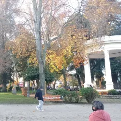 Plaza de Armas de Linares - Linares